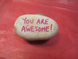 Custom Kindness Rocks