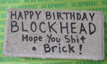 Send a Brick in the Mail -Happy Birthday Blockhead