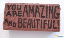 Send a Brick - You Are Amazing and Beautiful