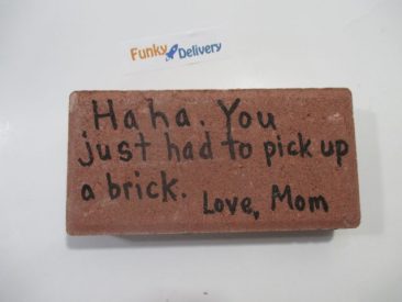HaHa You Just had to Pick Up a Brick - Message on a Real Brick