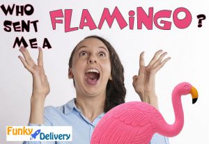 Send a Flamingo in the Mail