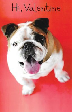 Fun Valentine's Day Card for Dog Lovers - Glitter Card Option