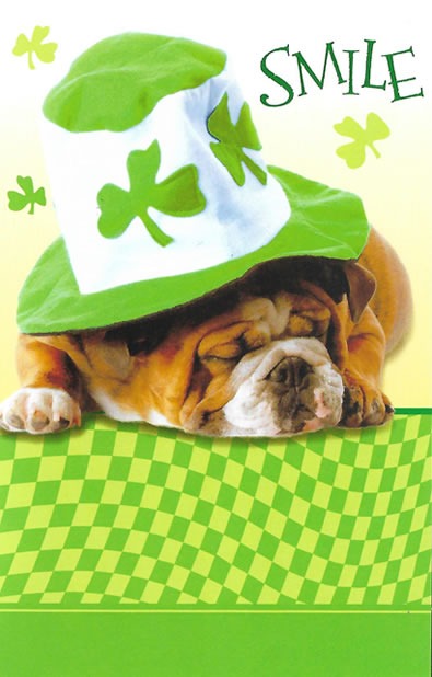 St. Paddy's Day Dog Card - Cute!