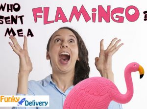 Send a Flamingo in the Mail