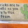 Brick with Cactus and Team Message