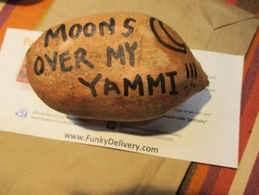 Moon over my Yammi Brick - Funky Delivery Brick