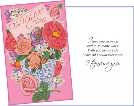 For My Wife on Valentine's Day - I love you so much and in so many ways. I Treasure You - Valentine Card