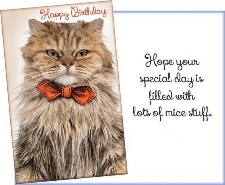 Happy Birthday Card with Cat in Bow Tie